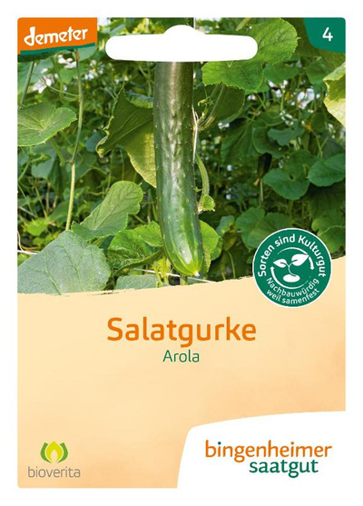 Produktfoto zu Schlangengurke Arola