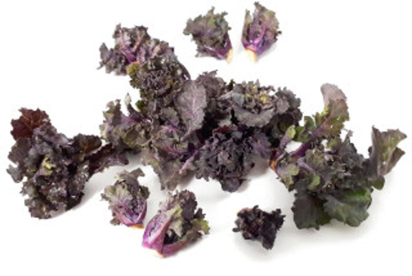 Produktfoto zu Flower Sprout