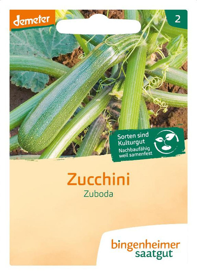 Produktfoto zu Saatgut Zucchini Zuboda