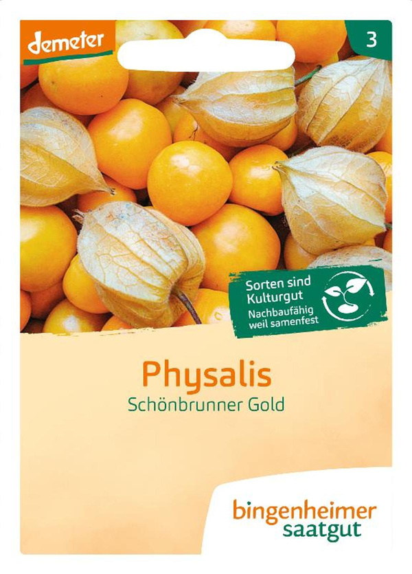 Produktfoto zu Saatgut Physalis