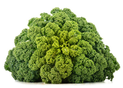 Produktfoto zu Grünkohl