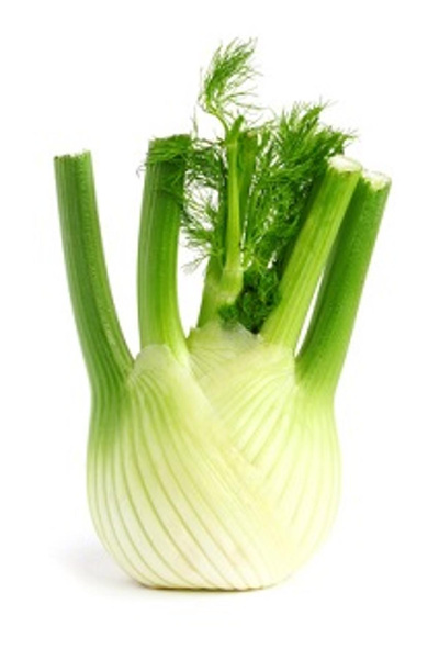 Produktfoto zu Fenchel