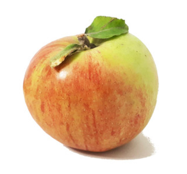 Produktfoto zu Apfel Gravensteiner