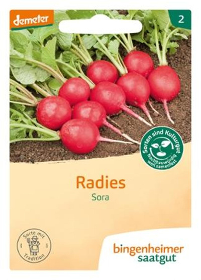 Produktfoto zu Saatgut Radies