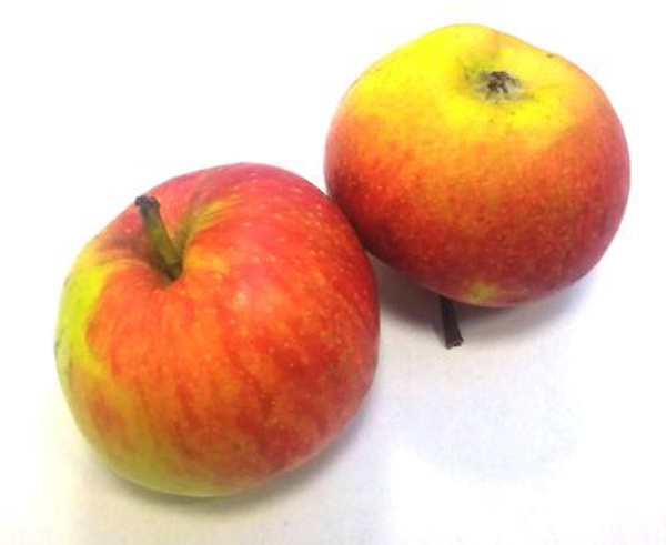 Produktfoto zu Apfel Deljonka