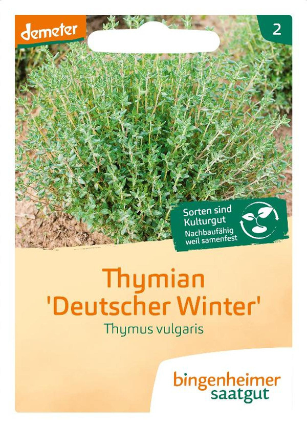 Produktfoto zu Saatgut Thymian
