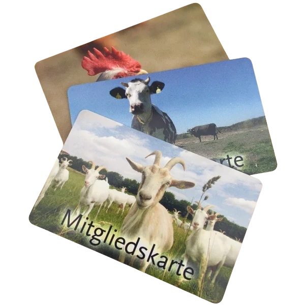 KI generiert: Drei Mitgliedskarten mit Tiermotiven: Ziegen, Kuh und Huhn. Text: „Mitgliedskarte“.