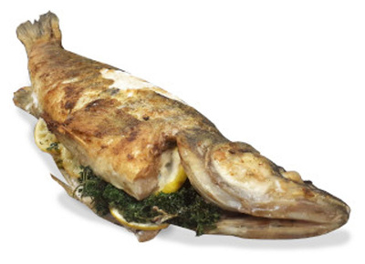 Produktfoto zu 10 Minuten Zander