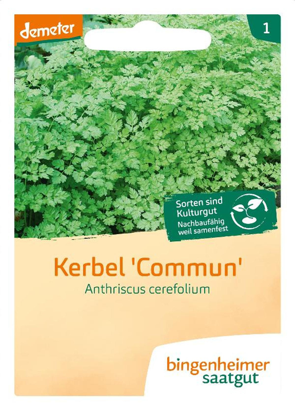 Produktfoto zu Saatgut Kerbel
