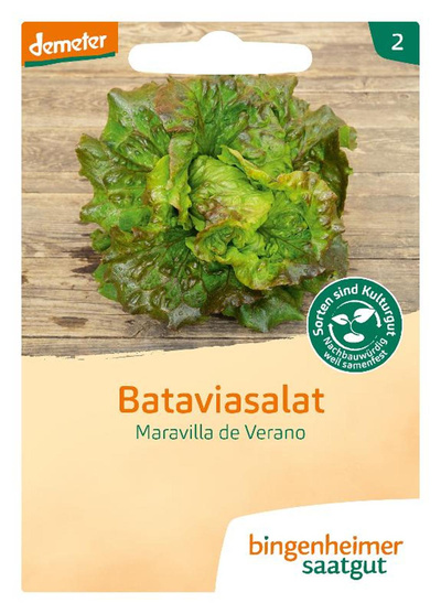 Produktfoto zu Saatgut Bataviasalat