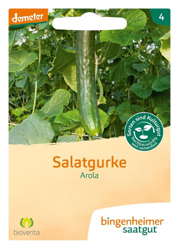 Produktfoto zu Schlangengurke Arola
