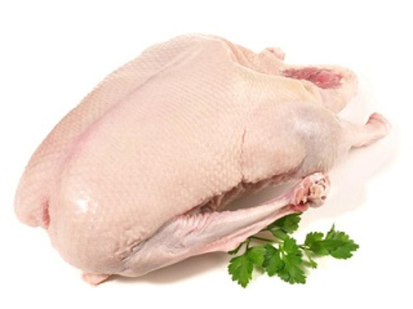Produktfoto zu TK Gans