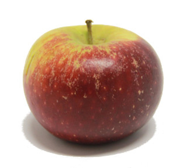 Produktfoto zu Apfel Ingrid Marie