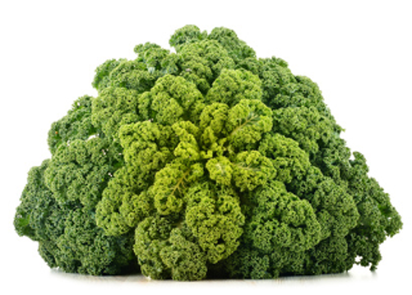 Produktfoto zu Grünkohl