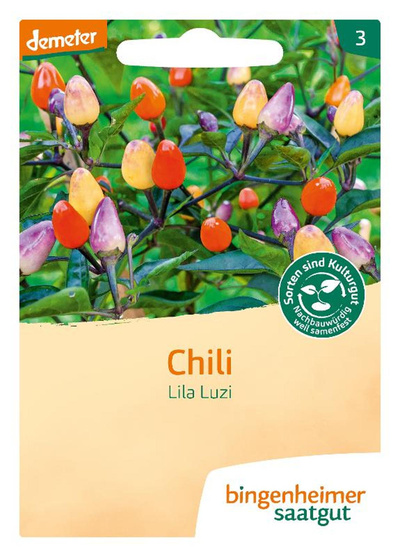 Produktfoto zu Saatgut Lila Luzi-Peperoni