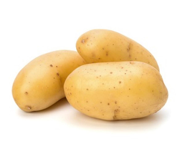 Produktfoto zu Frühkartoffel Solist, vfk