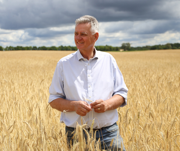 KI generiert: Zwei Personen stehen in einem Gewächshaus voller Pflanzen und halten eine Kiste mit frischem Gemüse. Der Fokus liegt auf der Präsentation der Ernte.