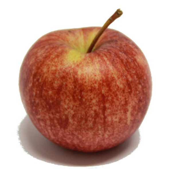 Produktfoto zu Apfel Gala