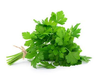 Produktfoto zu Petersilie, glatt