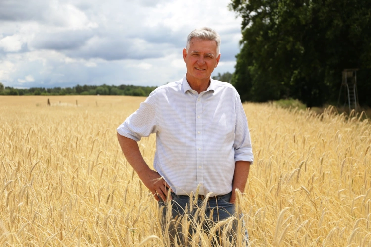 KI generiert: Ein Mann steht in einem Weizenfeld, umgeben von goldenen Ähren und Bäumen im Hintergrund. Kein Text vorhanden.